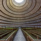 Inside abandoned Power Plant NT