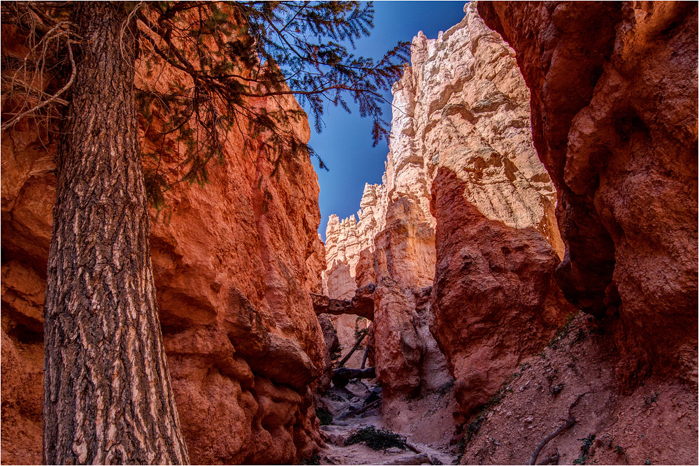 Inside Bryce Canyon