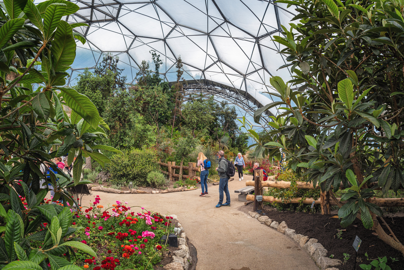 Inside Eden Project