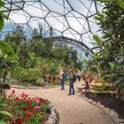 Inside Eden Project