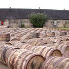 Inside Glenmorangie III