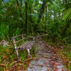 inside Lake Ngardok Nature Reserve, Palau