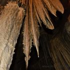 inside lehman caves 6