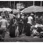 Inside Mombasa. 