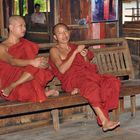 Inside Nge Hpe Chaung, the jumping cats monastery