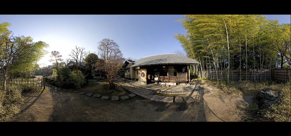 Inside of a Japanese garden