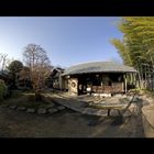 Inside of a Japanese garden