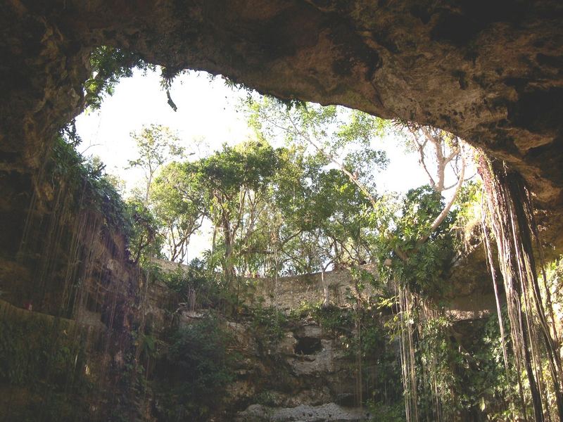 Inside sink hole in Mexico