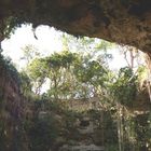 Inside sink hole in Mexico