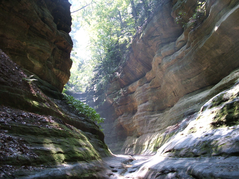 Inside Starved Rock Park