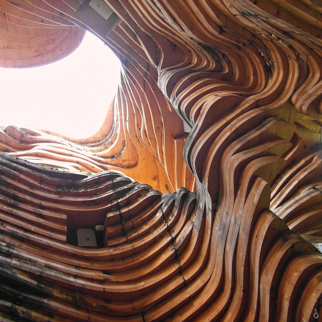 Inside Termite...   --  Holz, Schichtbau |X|©S1615_OC2--Xquad1333p