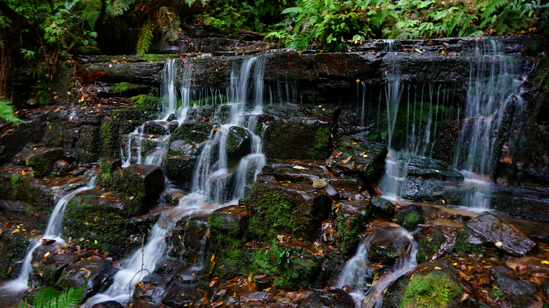 Inside the Blue Mountains Valley