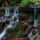 Inside the Blue Mountains Valley