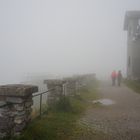 Inside the cloud, Schneeberg, Austria (1812 m)