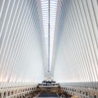 Inside the Oculus