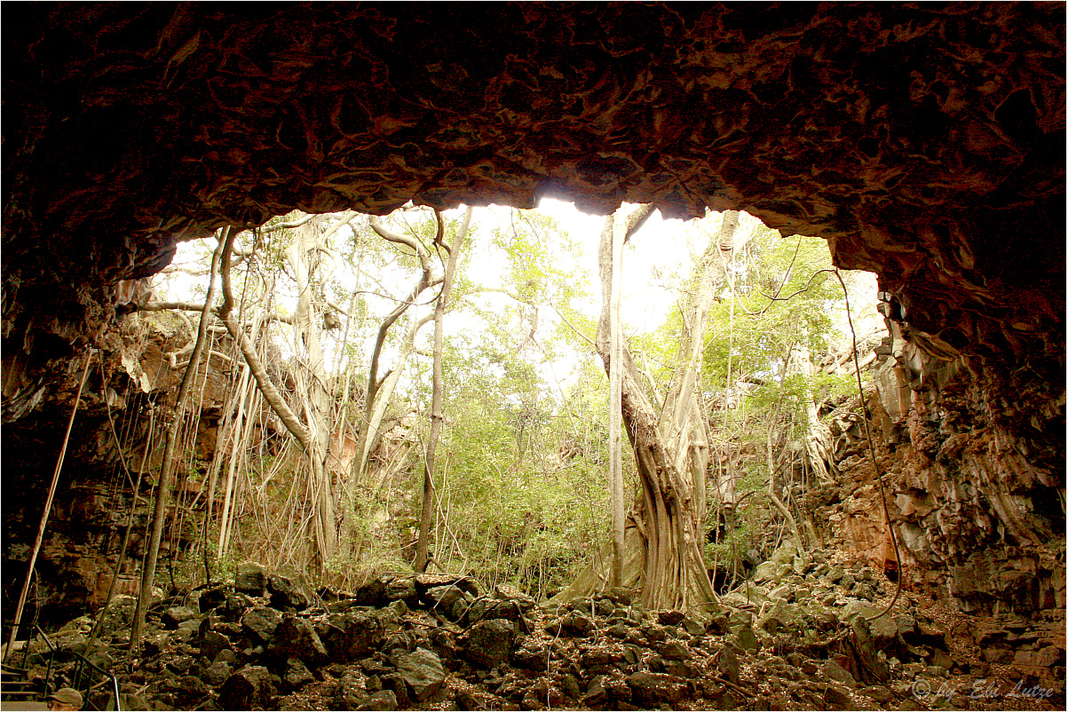 *** Inside the Undara Lava Tubes ***