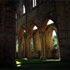 Inside - Tintern Abbey (Wye Valley)