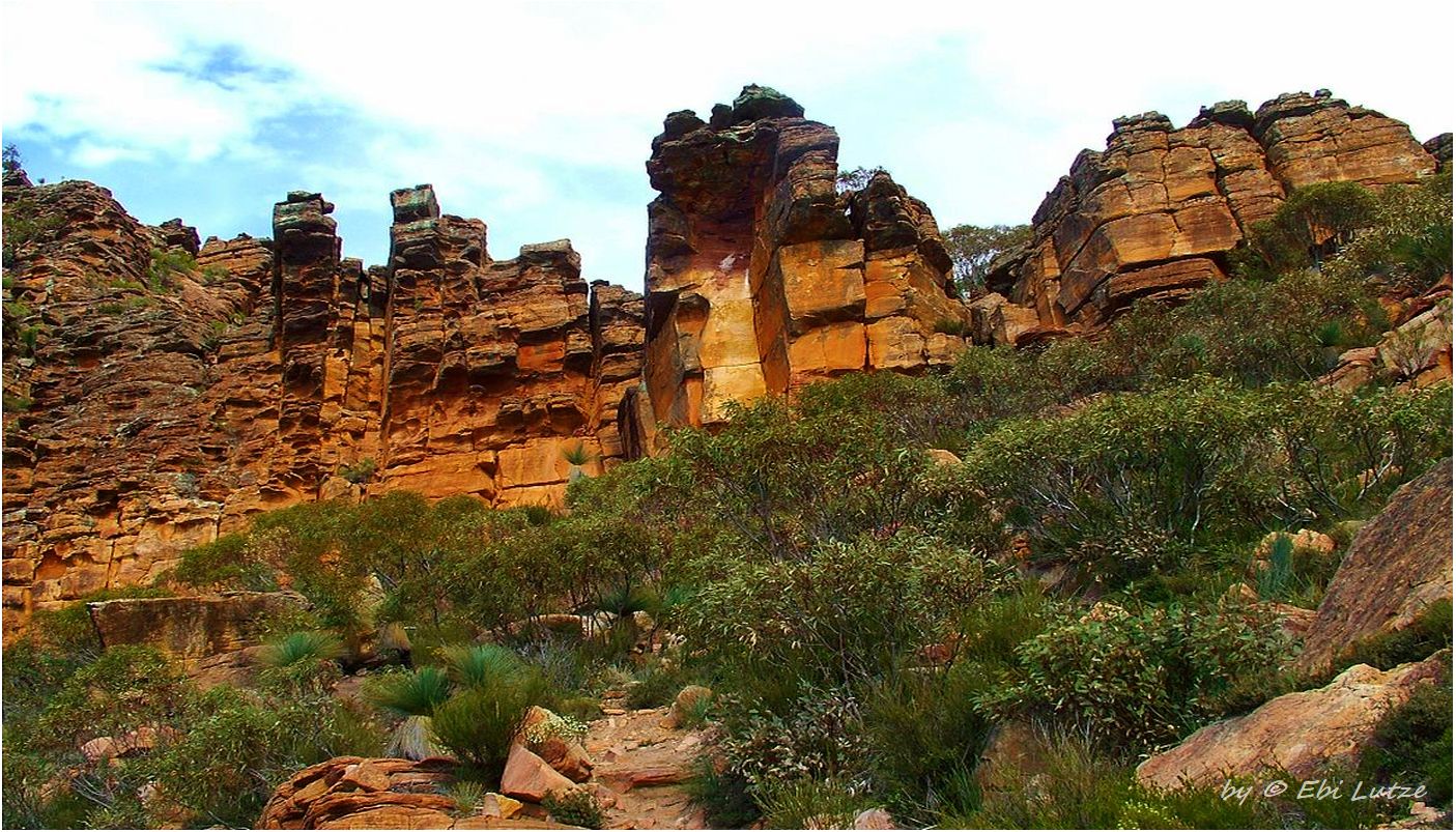 * Inside Wilpena Pound *