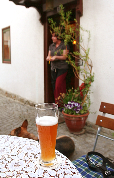 inside Zwingergasse II