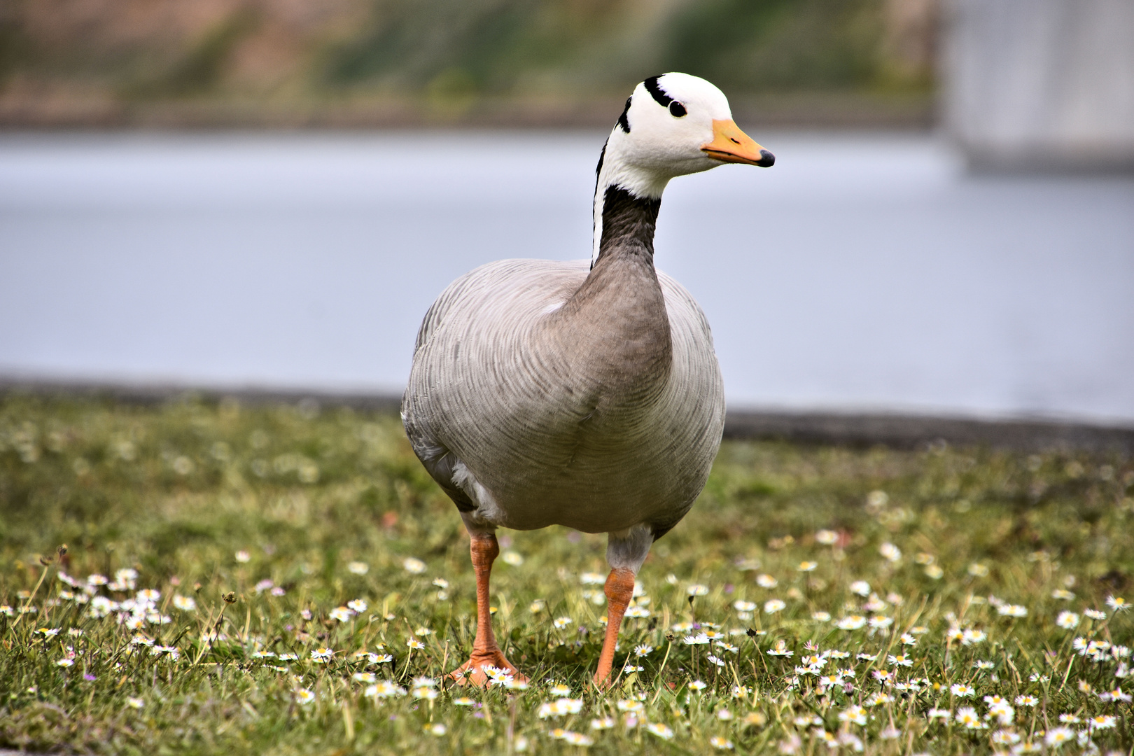 Inspektionsgang am Ufer