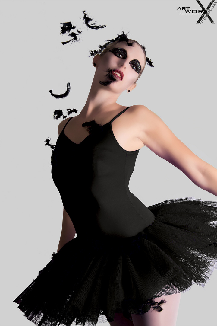 Inspiration Black Swan