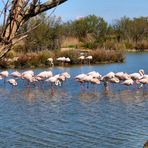 Instant-Camargue (2)