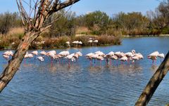 Instant-Camargue (2)