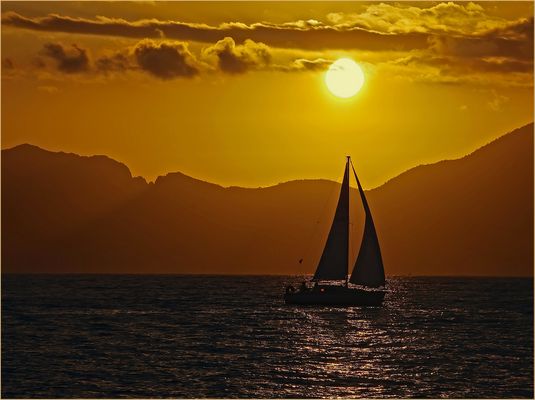 instantané en contrejour....