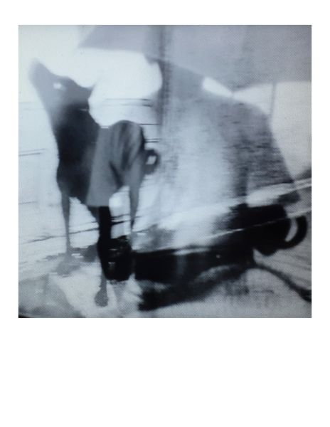 Instax #135