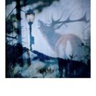 Instax #96