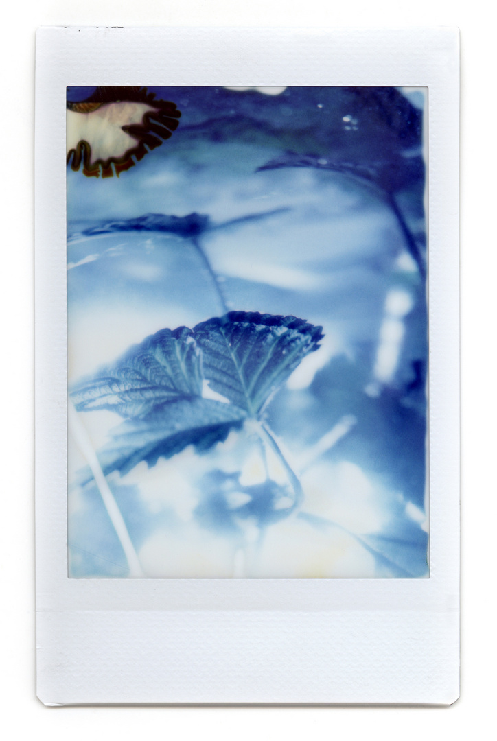 Instax Pasta Experiment