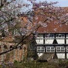 Institut für Bienenkunde in Celle