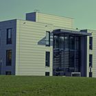 Institut für terrestrische Mikrobiologie