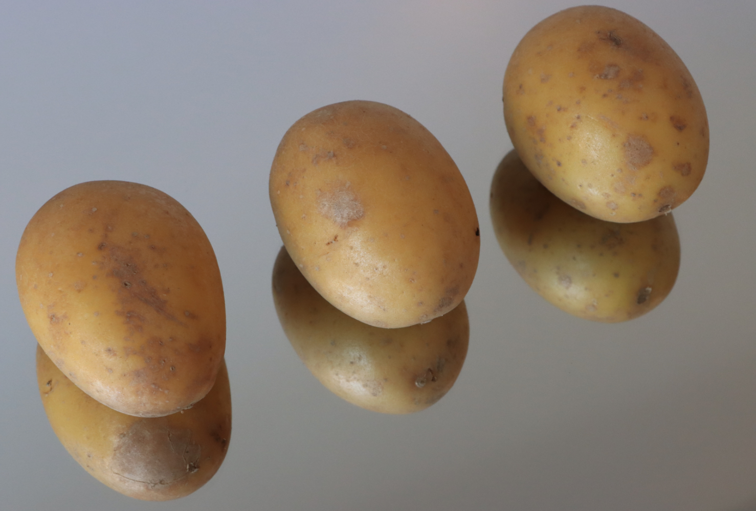 Inszenierung die drei Kartoffeln