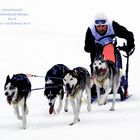 int. Schlittenhunderenn Inzell 2014