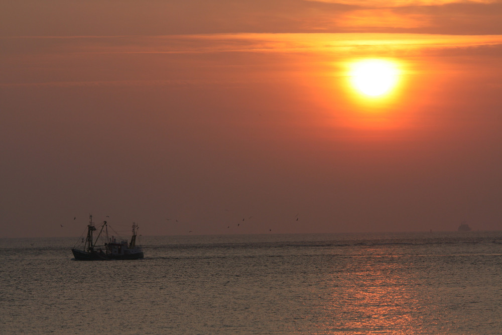 Intakte Fischerwelt (Nordsee Teil II)