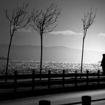 Intanto scende, indolente, la sera.