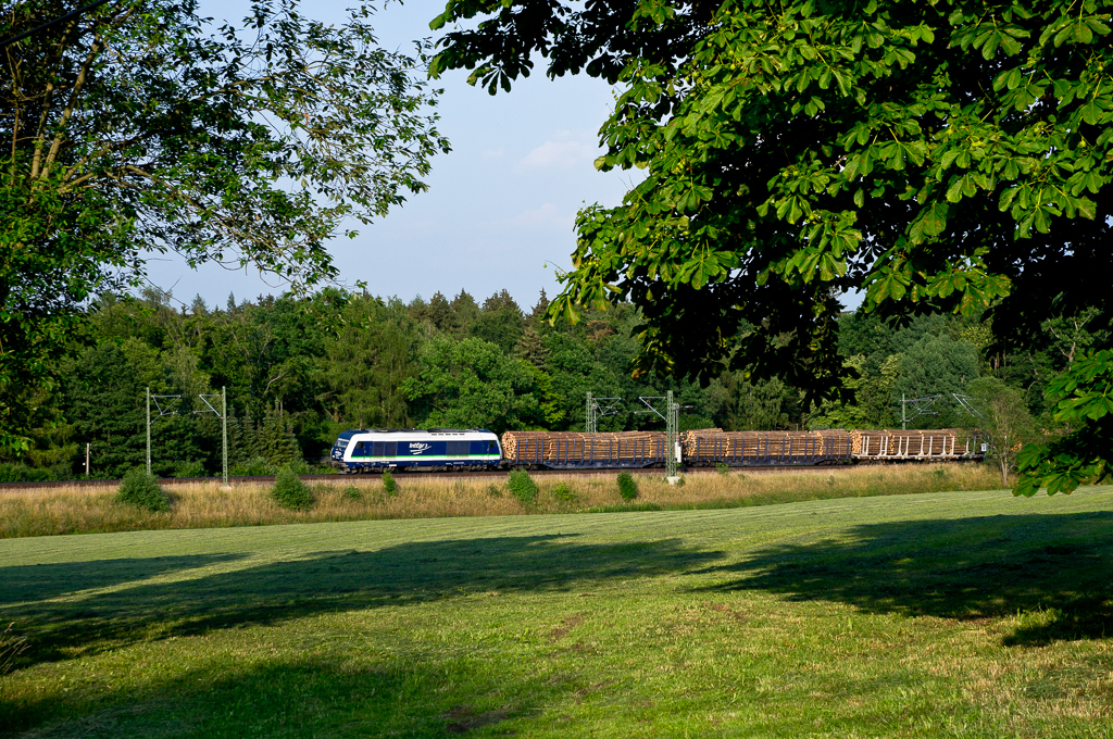 IntEgro 223 144 mit Holz in Oberjößnitz 1