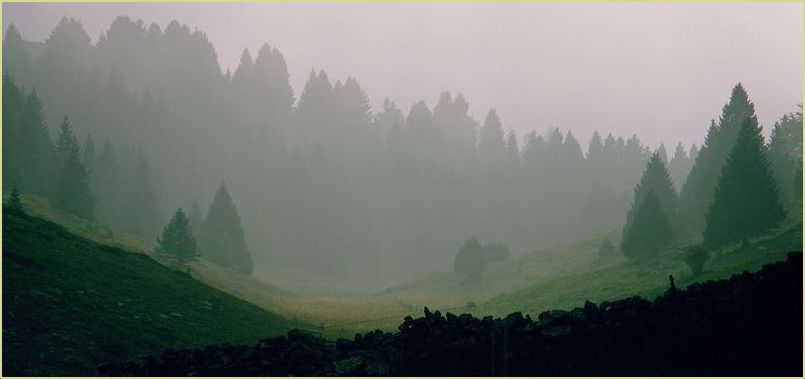 Intense emozioni....