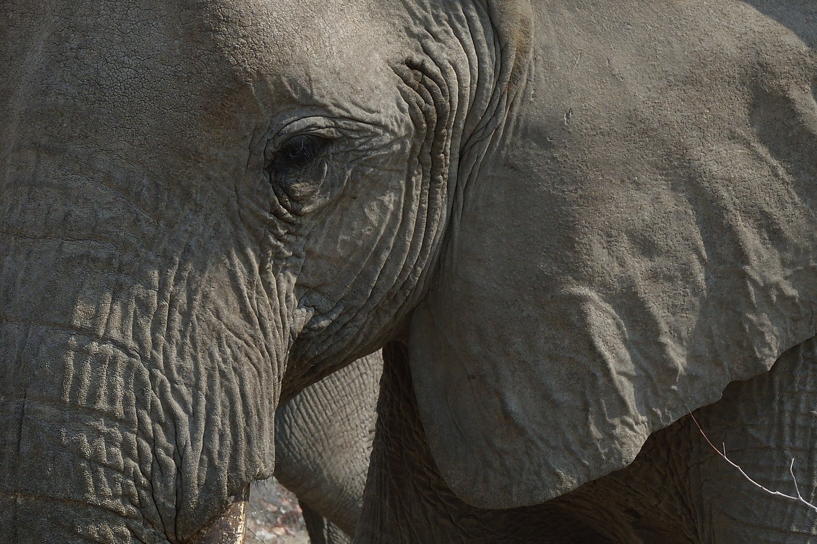 intensiv Foto & Bild africa, southern africa, namibia Bilder auf