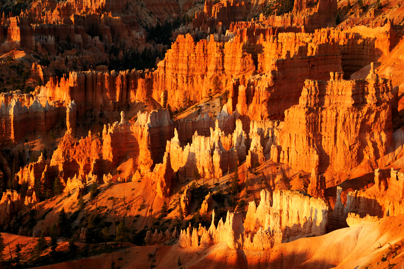 Intensive Farben beim Sonnenaufgang im Bryce Canyon