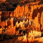 Intensive Farben beim Sonnenaufgang im Bryce Canyon