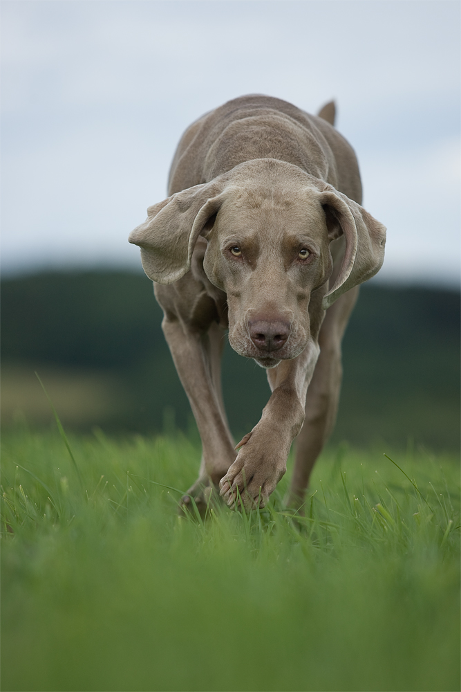 Intensiver Blick