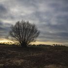 intensives Licht an der Elbe