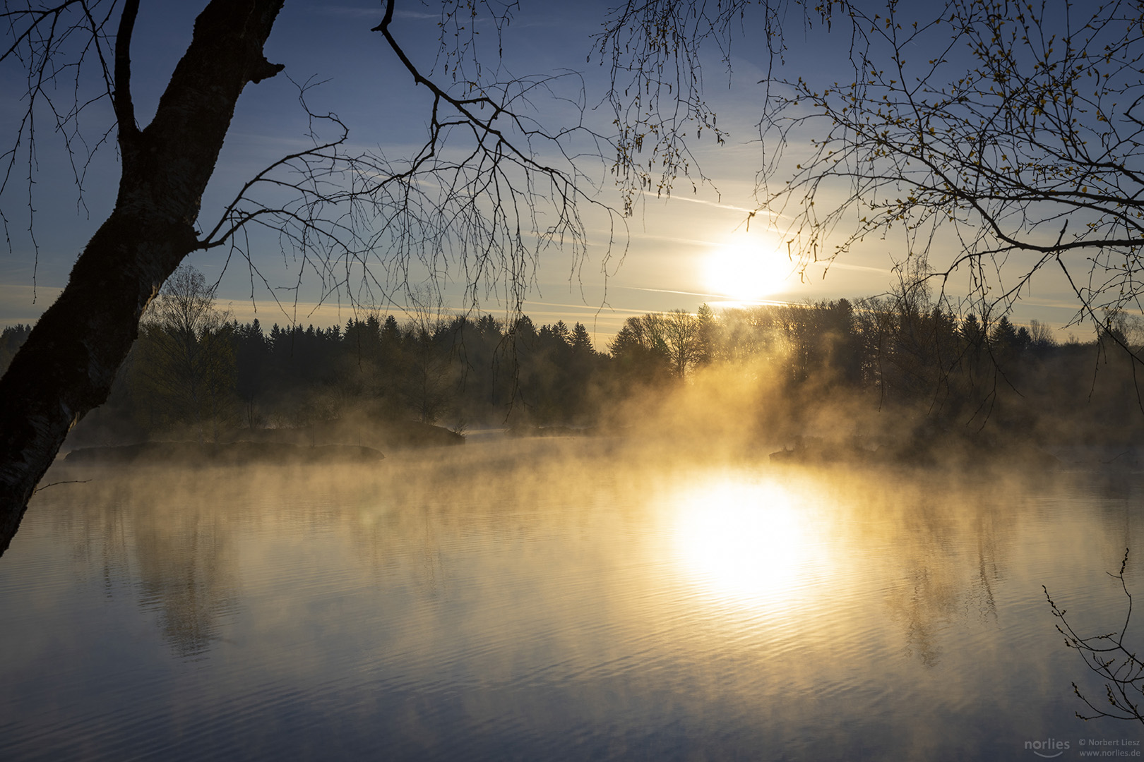 Intensives Morgenlicht