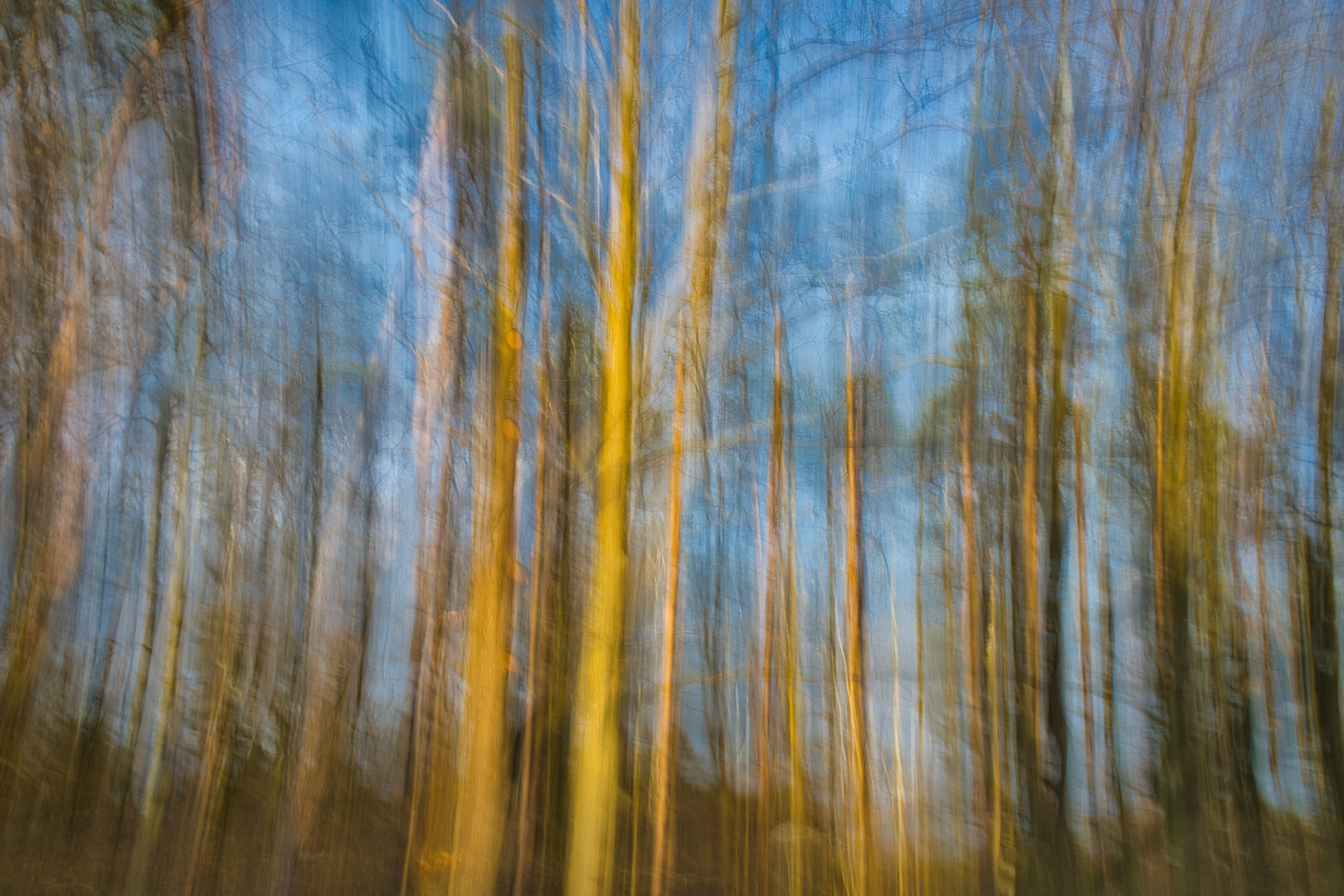 Intentional Camera Movement