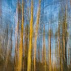 Intentional Camera Movement