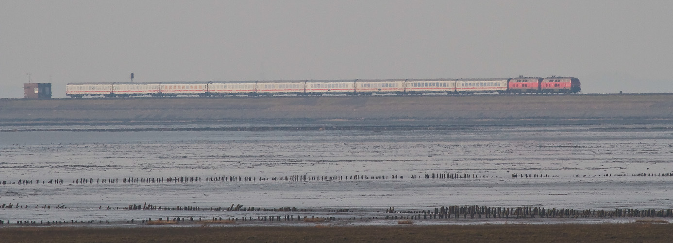 Intercity auf dem Hindenburgdamm