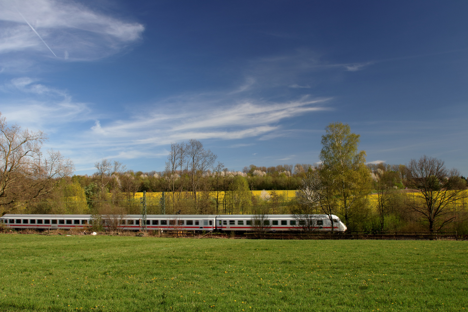 Intercity im Frühling