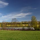 Intercity im Frühling